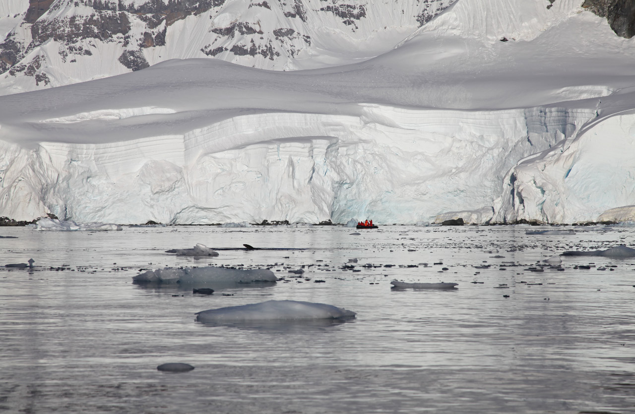 ice sheet perspective in Fournier Bay