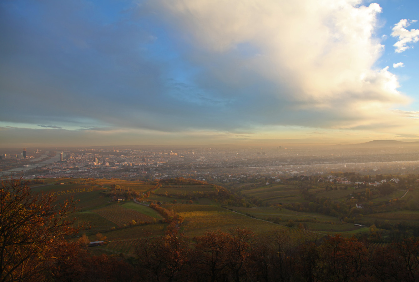 auf Wien von Kahlenberg